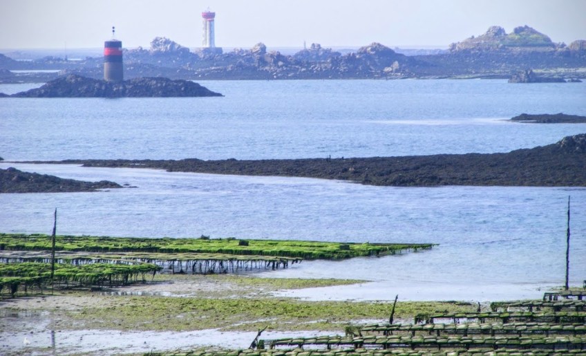 Du kayak à l'huître