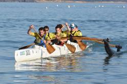 14917248_1214472161924315_8998176861799627155_o